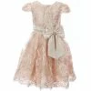 Buy 💯 Rare Editions Little 👧 Girls 2T-6X Satin-Bow Embroidered-Floral-Lace Fit-And-Flare 👗 Dress Taupe/gold/light Rose 🧨 -Rare Editions Shop unnamed file 100
