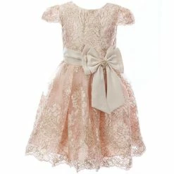 Buy 💯 Rare Editions Little 👧 Girls 2T-6X Satin-Bow Embroidered-Floral-Lace Fit-And-Flare 👗 Dress Taupe/gold/light Rose 🧨
