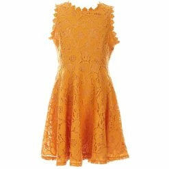 Buy 😍 Rare Editions Big 👧 Girls 7-16 Two-Tone-Lace Fit-And-Flare 👗 Dress Raspberry ✔️