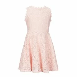 Buy 😍 Rare Editions Big 👧 Girls 7-16 Two-Tone-Lace Fit-And-Flare 👗 Dress Raspberry ✔️ -Rare Editions Shop unnamed file 123