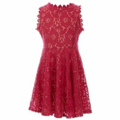 Buy 😍 Rare Editions Big 👧 Girls 7-16 Two-Tone-Lace Fit-And-Flare 👗 Dress Raspberry ✔️ -Rare Editions Shop unnamed file 131