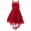 Best reviews of 🎉 Rare Editions Big 👧 Girls 7-16 Illusion Flower Soutache Hi-low 👗 Dress Burgundy 🔥 -Rare Editions Shop unnamed file 203