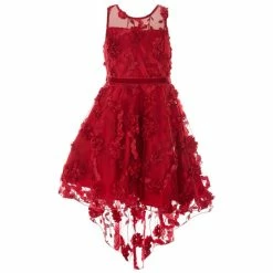 Best reviews of 🎉 Rare Editions Big 👧 Girls 7-16 Illusion Flower Soutache Hi-low 👗 Dress Burgundy 🔥
