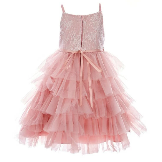 Hot Sale ๐ Rare Editions Little ๐ง Girls 4-6X Sleeveless Lace Tiered Mesh ๐ Skirt ๐ Dress Blush โจ 4 Hot Sale ๐ Rare Editions Little ๐ง Girls 4-6X Sleeveless Lace Tiered Mesh ๐ Skirt ๐ Dress Blush โจ - Image 2
