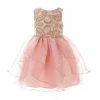 Brand new 🥰 Rare Editions Little 👧 Girls 2T-6X Ribbon Soutache Organza Cascade Printed 👗 Dress Blush 👏 -Rare Editions Shop unnamed file 343
