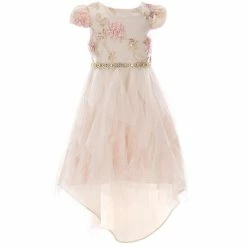 Best Pirce ❤️ Rare Editions Little 👧 Girls 2T-6X Floral-Soutache-Embroidered Bodice Mesh High-Low-Hem 👗 Skirted Ballgown Taupe 😍
