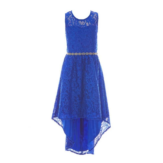 Cheap ๐ Rare Editions Big ๐ง Girls 7-16 Glitter Stretch Lace Hi-Lo ๐ Dress Royal โ 3 Cheap ๐ Rare Editions Big ๐ง Girls 7-16 Glitter Stretch Lace Hi-Lo ๐ Dress Royal โ
