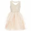 Best Pirce 🤩 Rare Editions Big 👧 Girls 7-16 Sleeveless Sequin Embroidered Bodice Mesh Organza 👗 Dress Blush ✨ -Rare Editions Shop unnamed file 416