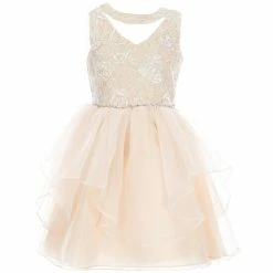 Best Pirce 🤩 Rare Editions Big 👧 Girls 7-16 Sleeveless Sequin Embroidered Bodice Mesh Organza 👗 Dress Blush ✨