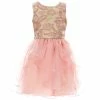 Coupon 🤩 Rare Editions Big 👧 Girls 7-16 Soutache-Ribbon Mesh/Organza Fit-And-Flare 👗 Dress Blush 🎁