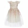 Outlet 🧨 Rare Editions Little 👧 Girls 2T-6X Flutter Sleeve Jeweled Waist Floral Embroidered Mesh Party 👗 Dress Ivory 🔥 -Rare Editions Shop unnamed file 527