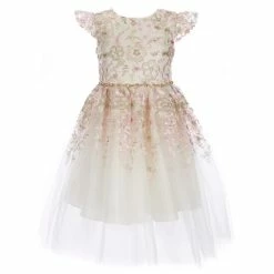 Outlet ๐งจ Rare Editions Little ๐ง Girls 2T-6X Flutter Sleeve Jeweled Waist Floral Embroidered Mesh Party ๐ Dress Ivory ๐ฅ