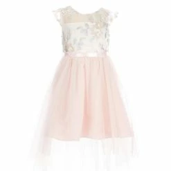Outlet 😉 Rare Editions Little 👧 Girls 2T-6X Sleeveless Embroidered Mesh Illusion High-Low 👗 Dress Blush Multi 🛒