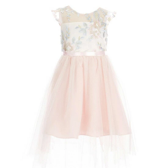 Outlet ๐ Rare Editions Little ๐ง Girls 2T-6X Sleeveless Embroidered Mesh Illusion High-Low ๐ Dress Blush Multi ๐ 3 Outlet ๐ Rare Editions Little ๐ง Girls 2T-6X Sleeveless Embroidered Mesh Illusion High-Low ๐ Dress Blush Multi ๐