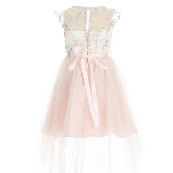 Outlet ๐ Rare Editions Little ๐ง Girls 2T-6X Sleeveless Embroidered Mesh Illusion High-Low ๐ Dress Blush Multi ๐ 4 Outlet ๐ Rare Editions Little ๐ง Girls 2T-6X Sleeveless Embroidered Mesh Illusion High-Low ๐ Dress Blush Multi ๐ - Image 2