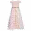 Buy 👏 Rare Editions Little 👧 Girls 4-6X Satin Cap Sleeve Multi-Color 3D Flower Appliqued Mesh 👗 Skirt 👗 Dress Blush Multi 🌟 -Rare Editions Shop unnamed file 533