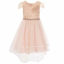 Wholesale 😉 Rare Editions Little 👧 Girls 4-6X Short Sleeve Foiled Lace-To-Mesh 👗 Dress Blush 😍