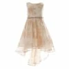 Flash Sale ⌛ Rare Editions Little 👧 Girls 2T-6X Foil Lace Floral Hi-Lo 👗 Dress Taupe 😉 -Rare Editions Shop unnamed file 545