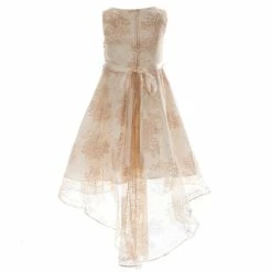 Flash Sale ⌛ Rare Editions Little 👧 Girls 2T-6X Foil Lace Floral Hi-Lo 👗 Dress Taupe 😉 -Rare Editions Shop unnamed file 546