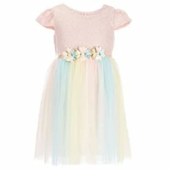 Coupon 🔥 Rare Editions Little 👧 Girls 2T-6X Cap Sleeve Lace To Ombre Mesh 👗 Dress Peach Multi 💯