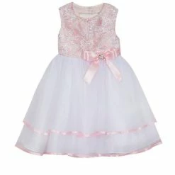 Best reviews of ⭐ Rare Editions Baby 👧 Girls 3-24 Months Embroidered/Tiered Mesh Fit-And-Flare 👗 Dress Pink 🤩