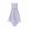 Wholesale ✨ Rare Editions Little 👧 Girls 2T-6X Sequin Lace A-Line Hi-Low 👗 Dress Lilac 😉 -Rare Editions Shop unnamed file 617