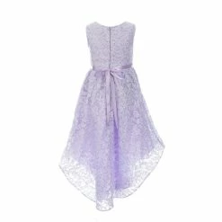Wholesale ✨ Rare Editions Little 👧 Girls 2T-6X Sequin Lace A-Line Hi-Low 👗 Dress Lilac 😉 -Rare Editions Shop unnamed file 618