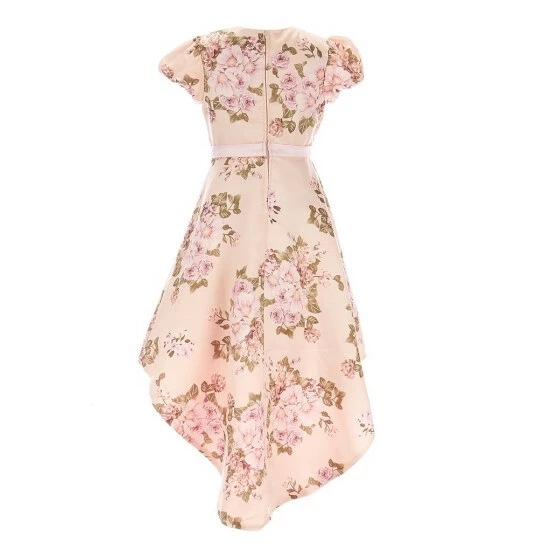 Discount ๐ฏ Rare Editions Big ๐ง Girls 7-16 Short Sleeve Floral Satin High Low ๐ Dress Taupe ๐ 4 Discount ๐ฏ Rare Editions Big ๐ง Girls 7-16 Short Sleeve Floral Satin High Low ๐ Dress Taupe ๐ - Image 2