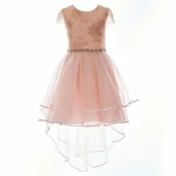 Cheapest ๐คฉ Rare Editions Big ๐ง Girls 7-16 Short Sleeve Foiled Lace-To-Mesh ๐ Dress Blush ๐งจ