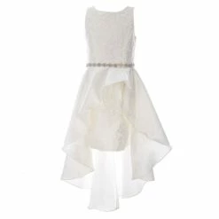 Best deal 😍 Rare Editions Big 👧 Girls 7-16 Sleeveless Embroidered Mikado 👗 Dress Ivory 🌟 -Rare Editions Shop unnamed file 9