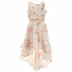 Best reviews of ✔️ Rare Editions Big 👧 Girls 7-16 Sleeveless Floral Embroidered Soutache Mesh Illusion Hi-Low 👗 Dress Taupe 👍