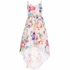 Coupon 🔔 Rare Editions Big 👧 Girls 7-16 Sleeveless V-Neck Jeweled Waist Floral Mikado Extreme-High-Low 👗 Dress Blush ⌛